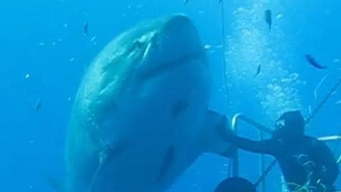 2986D6C000000578-0-image-m-41_1434000434215.jpg