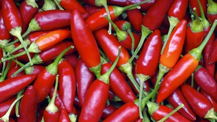 Chilli
