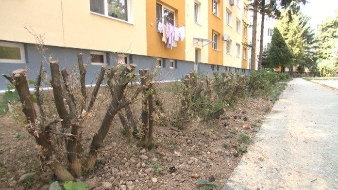 huseniceweb_jpg_bez_watermarku_1.jpg