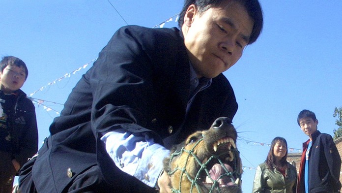 Na archívnej snímke odchytenie psa v meste Jü-Lin.