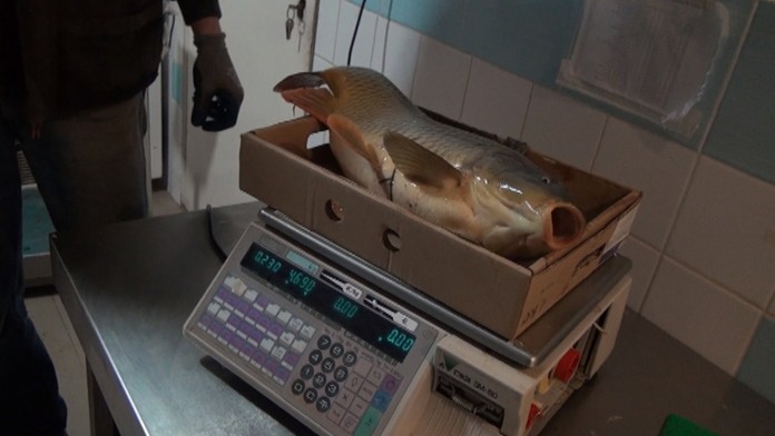 Ilustračná snímka