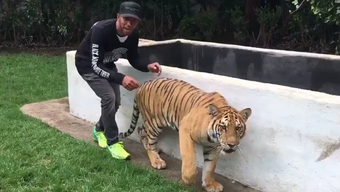 party.mp4