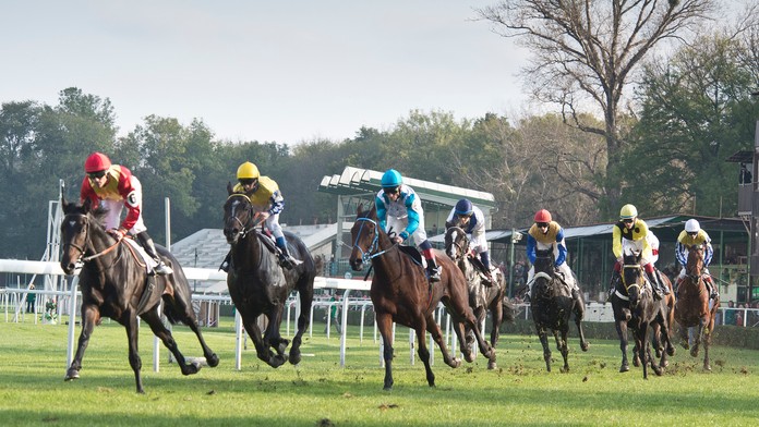 Dostihy- ilustračná snímka.