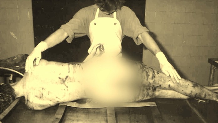 Zabitý nemecký študent.