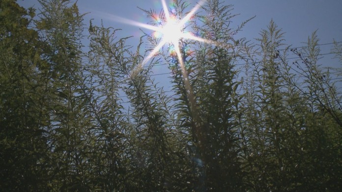 Ilustračná snímka.