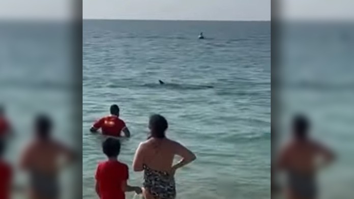 VIDEO: Dovolenkári zažili na pláži v Dubaji chvíle hrôzy. Odrazu sa pri nich zjavil žralok