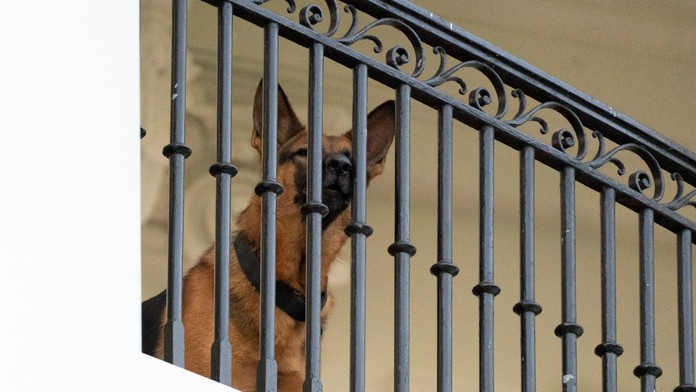 Bidenov pes pohrýzol už 11 ľudí, musel opustiť Biely dom