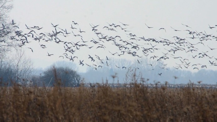 Nová primátorka Gdanska Aleksandra Dulkiewiczová