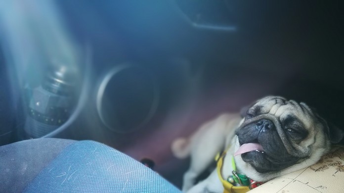 Kouč Ukrajiny Andrij Ševčenko pred kvalifikačným duelom ME 2020 proti Srbsku.