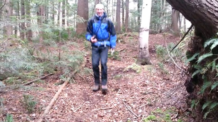 Chodník v kanadskom lese pruží ako trampolína