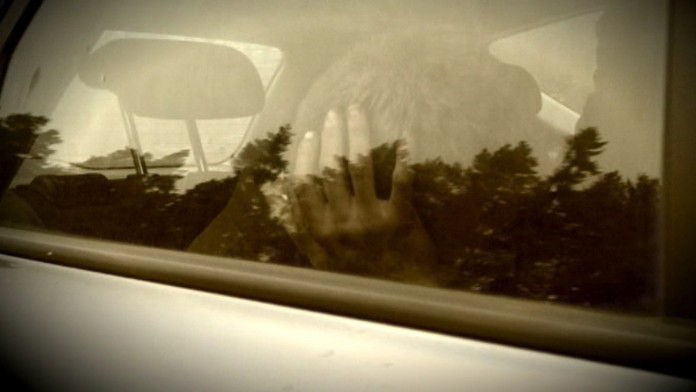 19 PP Zlodeji smoliari.transferweb_jpg_bez_watermarku_1.jpg