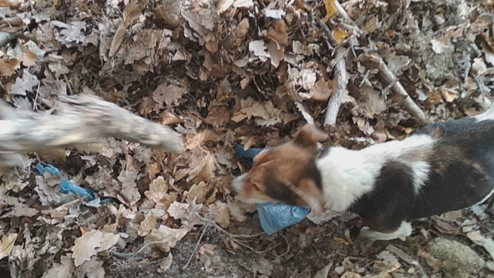 Otrasný nález v lese