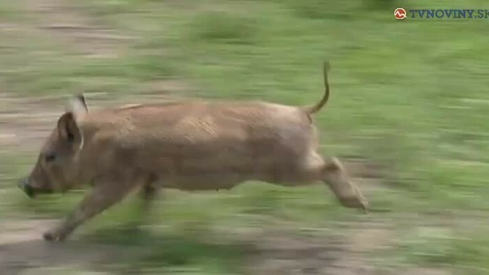 video_part #21724