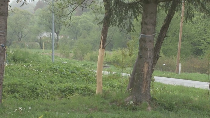 Trestanca Daniela Lewisa Leeho usvedčeného z vraždy trojčlennej rodiny z roku 1996 mali popraviť smrtiacou injekciou v americkom