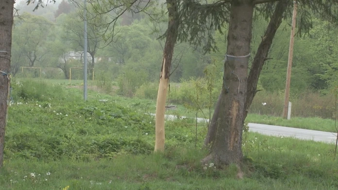 Trestanca Daniela Lewisa Leeho usvedčeného z vraždy trojčlennej rodiny z roku 1996 mali popraviť smrtiacou injekciou v americkom
