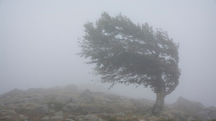 Ilustračná snímka