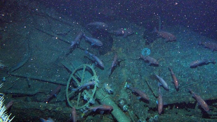 Katalánci hlasujú v predčasných parlamentných voľbách.