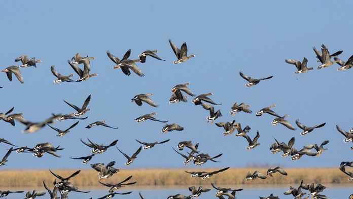 Ilustračná snímka.