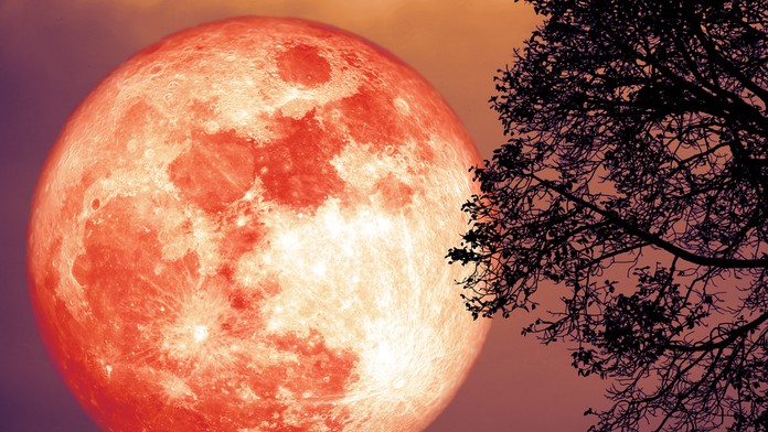 V noci zo soboty na nedeľu budeme môcť pozorovať "jahodový" spln. 