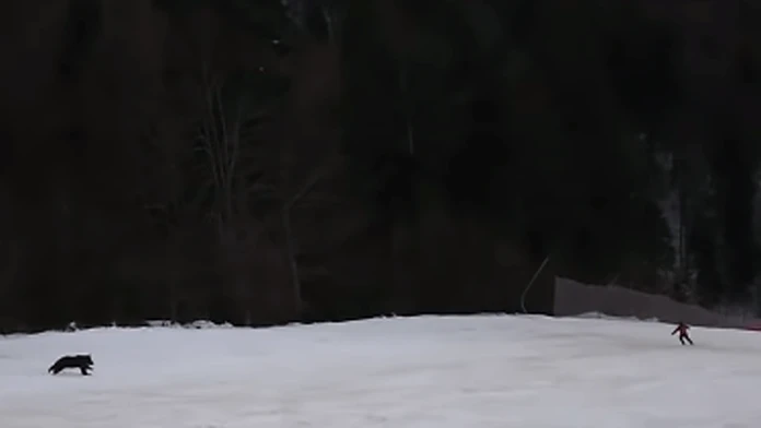 Braňo ako MUDr. Chromík