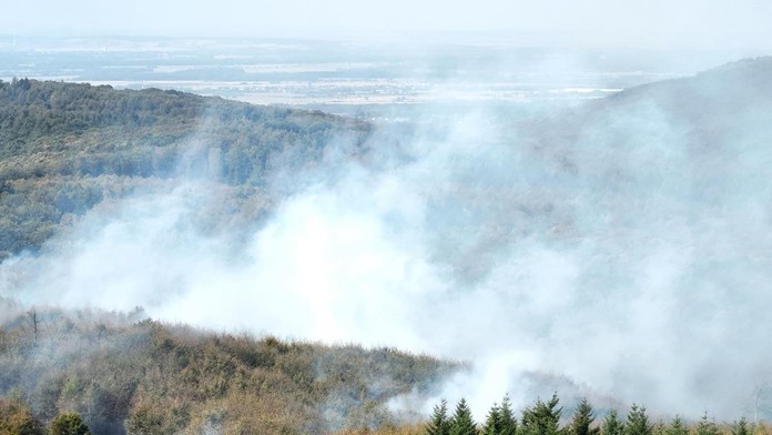 FOTO: V lesoch nad bratislavskou Račou vypukol rozsiahly požiar