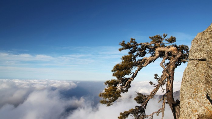 Vietor na horách - ilustračná snímka