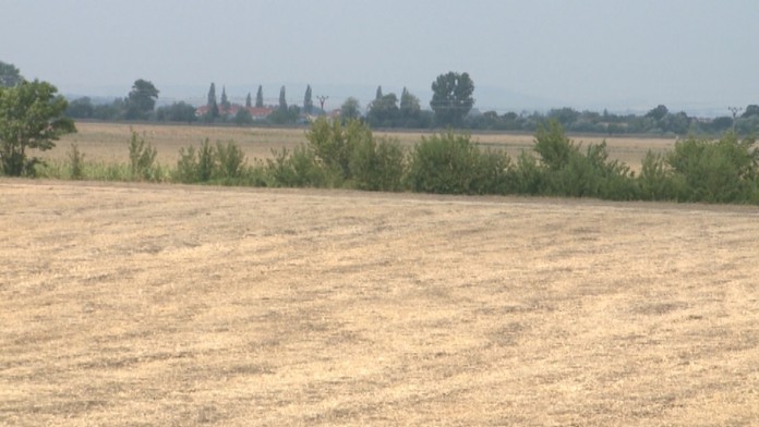 19 NR Pozemky Landrover.transferweb_jpg_bez_watermarku_1.jpg