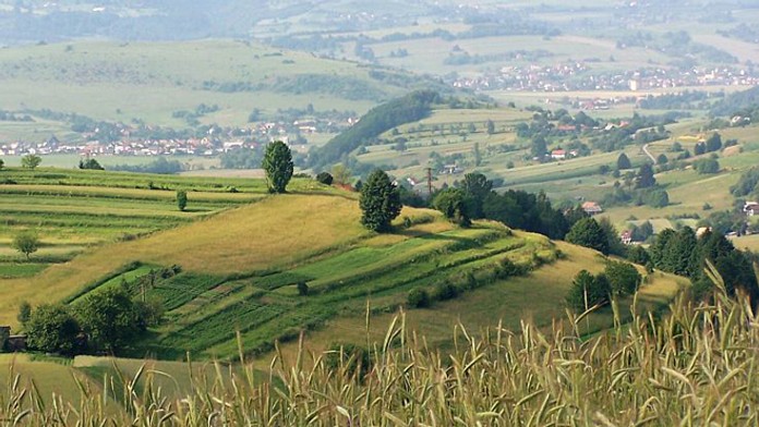 Hriňovské lazy