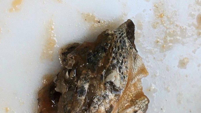 Francúzsky prezident Emmanuel Macron.