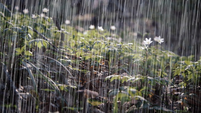 Ilustračná snímka.