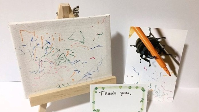 Chrobák Spike sa dal na umenie.