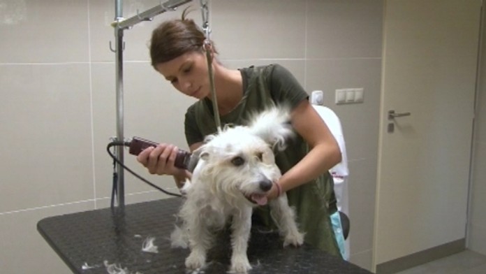 19 Zvierata-teploweb_jpg_bez_watermarku_1.jpg