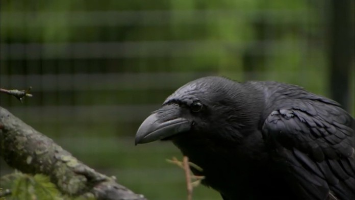 Podpredseda parlamentu Gábor Grendel (OĽaNO).