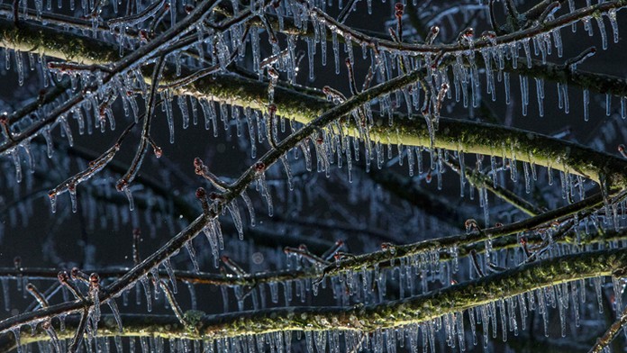Námraza na konároch.