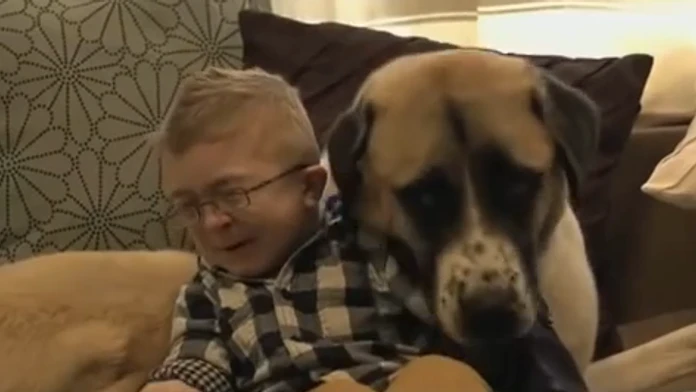 Bez názvu.png