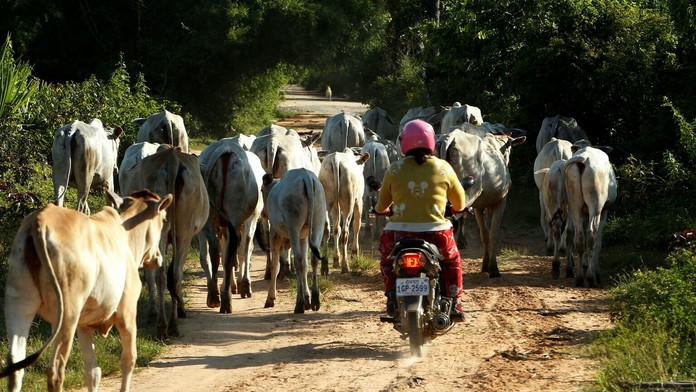 Nehoda v Bánovciach.