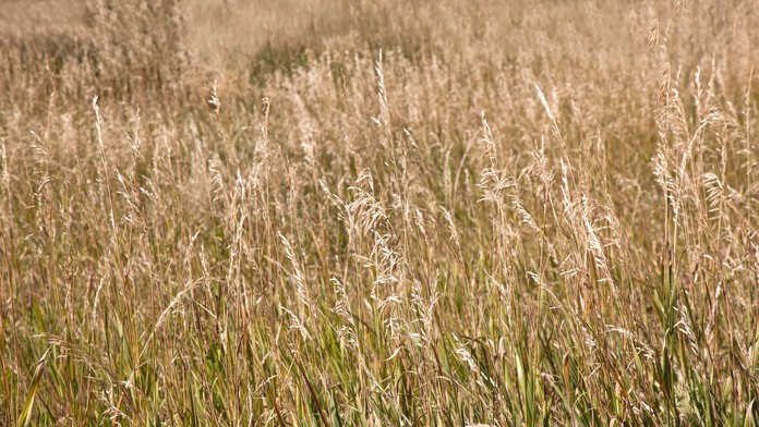 shutterstock_191429249.jpg