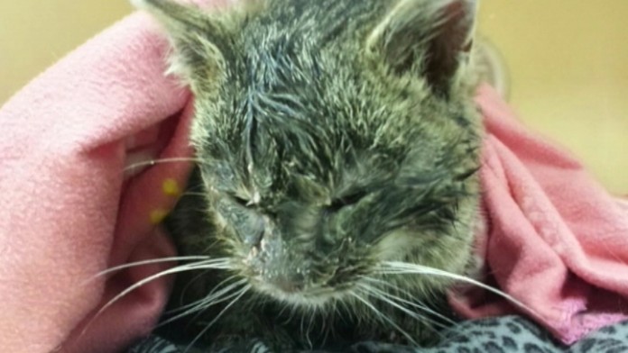 17 ZAHR Macicka Frost.transferweb_jpg_bez_watermarku_1.jpg