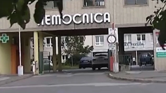 nemoca.jpg