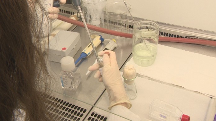 Tisícky vzoriek jedla, potravín, a kuchynských sterov putovalo na rozbory do laboratorií.