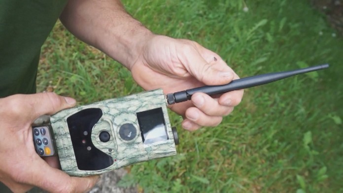 Poľovníci aj ochranári sa snažia fotopasce zakamuflovať tak, aby boli čo najmenej viditeľné.