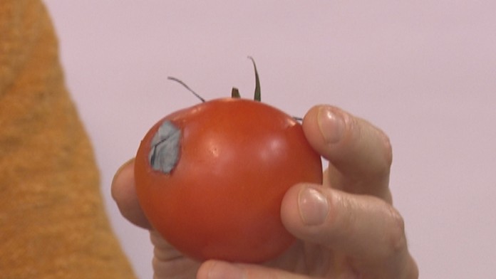 Takúto paradajku by sme nemali jesť.