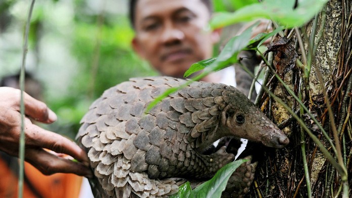 Preventívne cvičenie v nemocnici v Banskej Bystrici.
