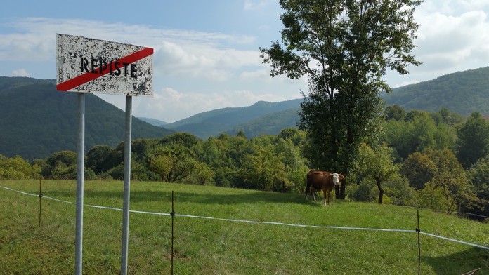 20150920_120422.jpg