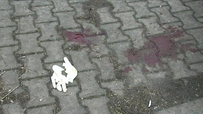 17 LV Dobity-mrtvy.transferweb_jpg_bez_watermarku_1.jpg