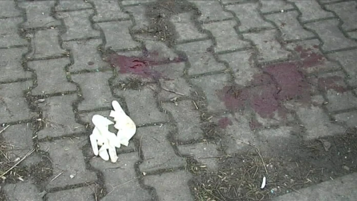 17 LV Dobity-mrtvy.transferweb_jpg_bez_watermarku_1.jpg