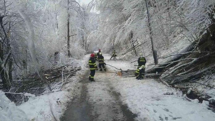 Angličtina v podaní Petry Palúskovej.