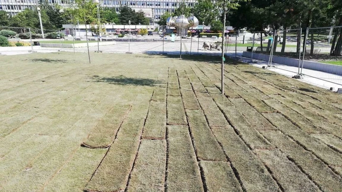Trávnatý koberec na Námestí slobody je úplne vysušený.