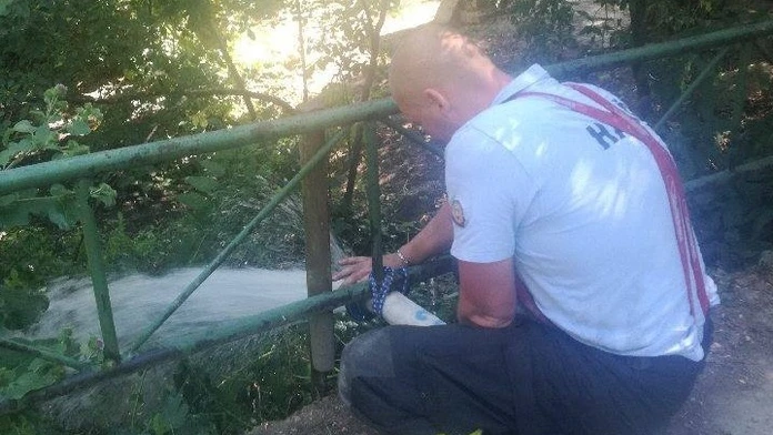 Zvieratá mali nedostatok vody.