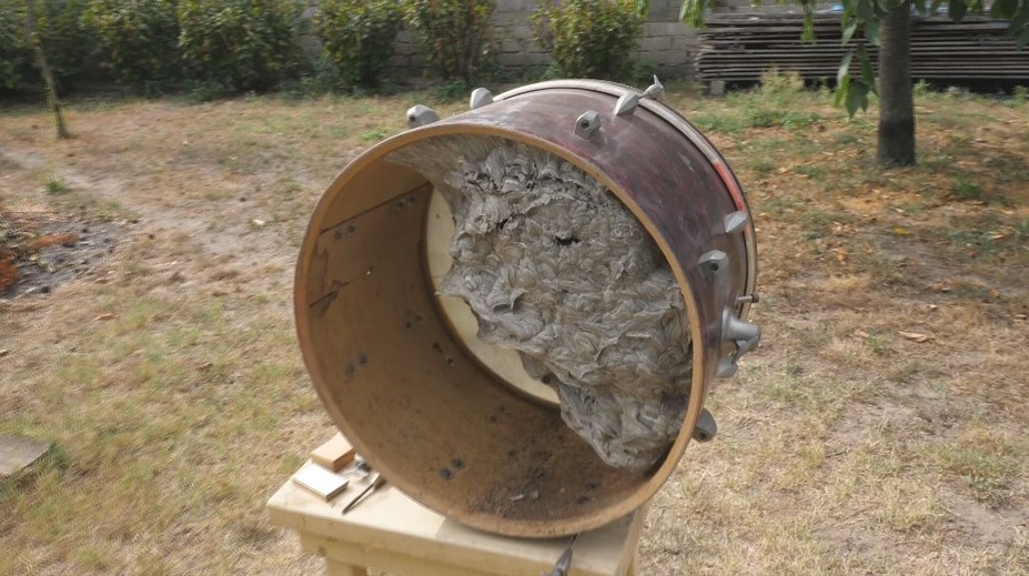 Otvoril starý bubon a zostal v šoku. Peter sa chystal opraviť hudobný nástroj, jeho obsah ho však prekvapil